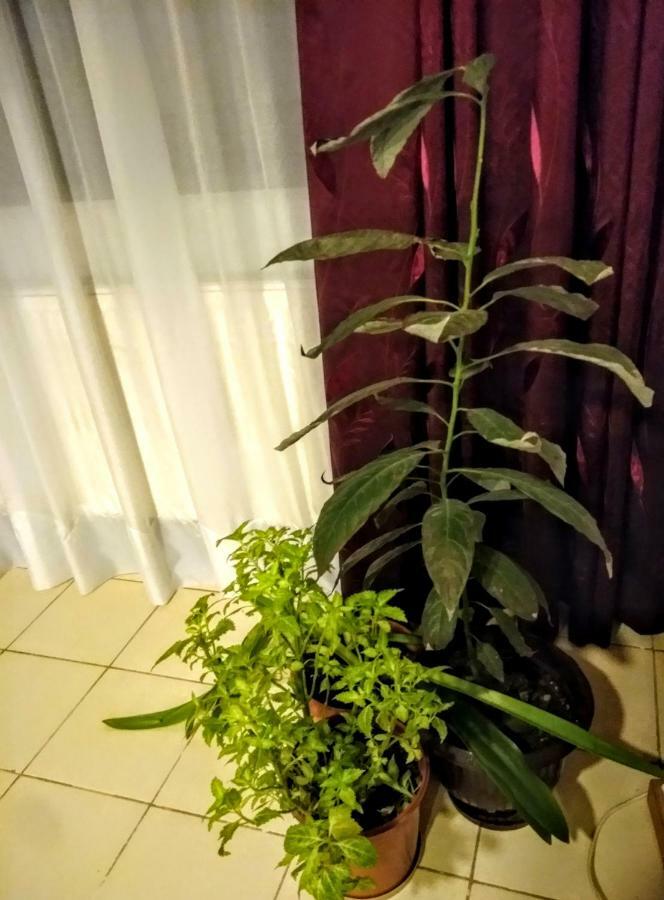 Apartament Cozy Downtown Oasis Bukareszt Zewnętrze zdjęcie