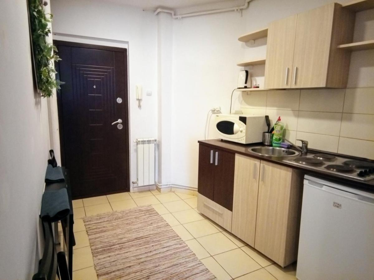 Apartament Cozy Downtown Oasis Bukareszt Zewnętrze zdjęcie